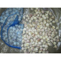 Good Quality 2020 Normal White Garlic